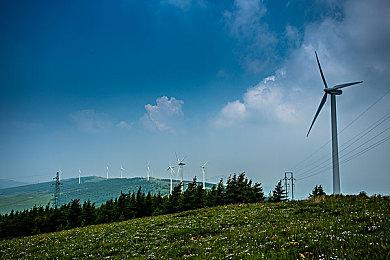 末日城市寻女《金刚：生存本能》游戏预告发布